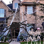 Giant Halloween Spider